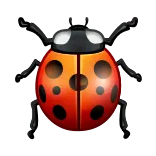 🐞
