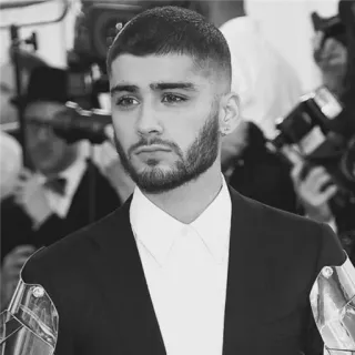 ▪️ Zayn Malik Ca sĩ, Người nổi tiếng, Đàn ông, Chân dung, Trắng đen, Zayn Malik telegram sticker