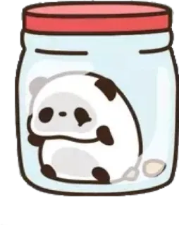 🐼 panda, jar, cute, animal, kawaii, sticker telegram sticker