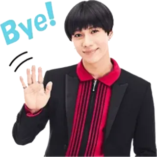 ✋️ Bye! adeus, despedida, saudação, pessoa, tchau telegram sticker