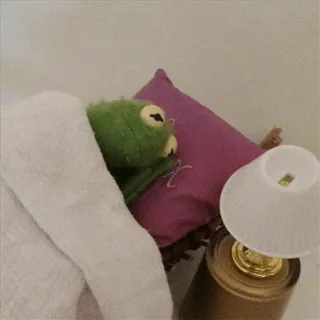🐸 Kermit Kermit, o Sapo, dormindo, cama, travesseiro, lâmpada, fantoche whatsapp sticker