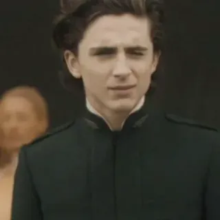 😐 Paul Atreides Dune Dune, Paul Atreides, Timothée Chalamet, movie, science fiction, character telegram sticker