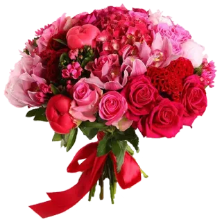 💐 ดอกไม้, ช่อดอกไม้, ดอกกุหลาบ, ดอกโบตั๋น, สีแดง, สีชมพู, การจัดดอกไม้, ของขวัญ whatsapp sticker
