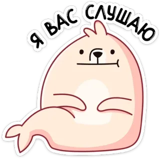 👂 Я ВАС СЛУШАЮ foka, kreskówka, słodki, zwierzę, słuchanie telegram sticker