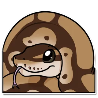😛 serpiente, animal, dibujos animados, reptil whatsapp sticker