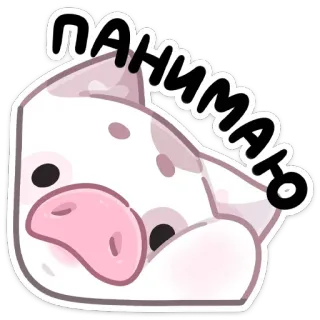 👌 понимаю 돼지, 동물, 귀여운, 러시아어, 텍스트, 만화 whatsapp sticker