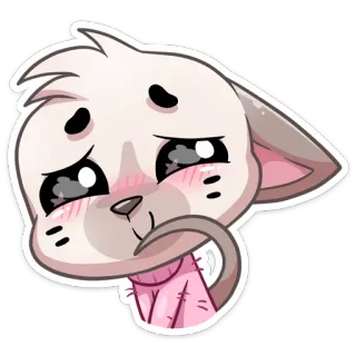 ☺️ fofo, kawaii, gato, adorável, desenho animado, animal, animal de estimação whatsapp sticker