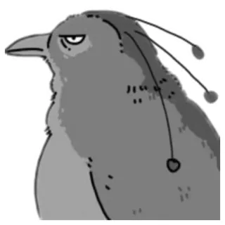 😒 pássaro, animal, adesivo, ilustração, desenho animado telegram sticker