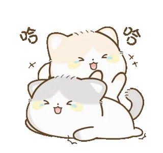 😂 哈哈 кот, милый, эмодзи, счастливый, смеющийся, животное whatsapp sticker