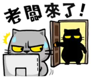 😶 来 突袭了! Katze, Anime, Aufkleber, Tür, Überraschung, Cartoon, Computer whatsapp sticker