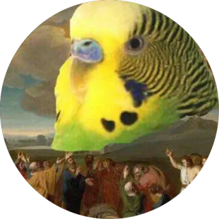 😇 vogel, grasparkiet, kunst, schilderij, engel telegram sticker