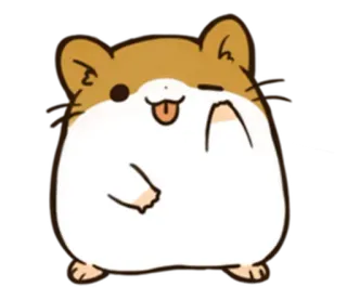 ✋ hamster, cute, animal, pet, cartoon, sticker telegram sticker