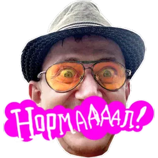 👍 НОРМАААЛ! pessoa, chapéu, óculos, engraçado, normal, russo whatsapp sticker