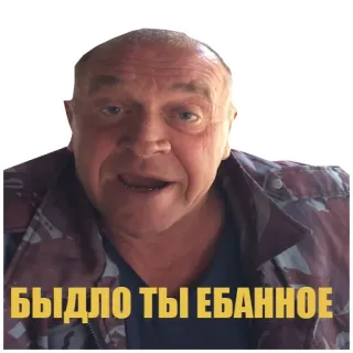 🤬 БЫДЛО ТЫ ЕБАННОЕ offensant, insulte, russe telegram sticker
