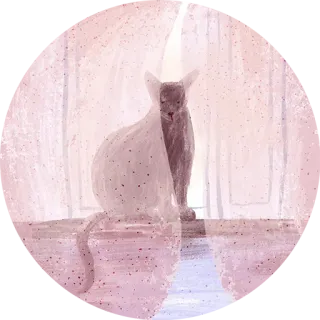 ⛺️ cat, animal, pet, domestic cat, portrait whatsapp sticker