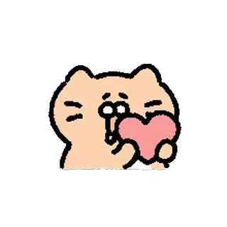 🥚 gato, corazón, amor, lindo, animal, pegatina telegram sticker