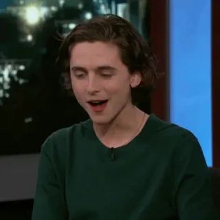 💎 Timothée Chalamet diễn viên, người nổi tiếng, Timothée Chalamet, chân dung telegram sticker