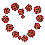 🐞 lieveheersbeestje, hart, insecten, schattig, natuur, rood, dieren, liefde telegram sticker