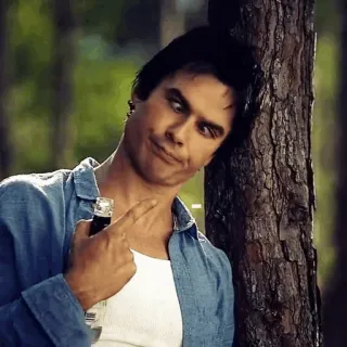 🍷 Damon Salvatore The Vampire Diaries serie de tv, vampiro, bebiendo, botella, Ian Somerhalder telegram sticker