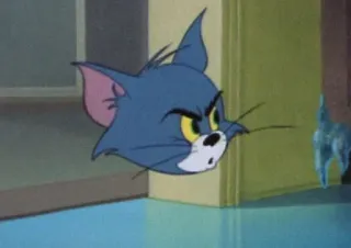 🧡 Tom Cat Tom and Jerry mèo, hoạt hình, tức giận, điên, hoạt họa, nhân vật telegram sticker