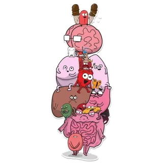 👪 Organes, Dessin animé, Drôle, Anatomie, Parties du corps, Cerveau, Cœur, Intestins whatsapp sticker