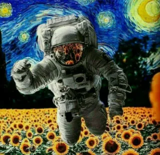 🌙 astronaut, weltall, sternennacht, van gogh, kunst, sonnenblumen telegram sticker