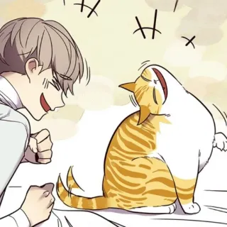 😆 고양이, 남자, 애니메이션, 행복 telegram sticker