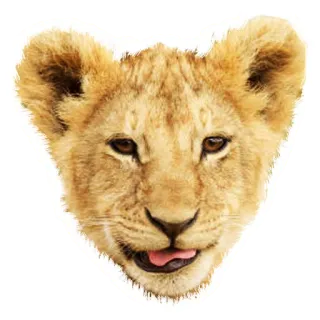 👼 лев, детеныш, животное, милый, дикая природа telegram sticker
