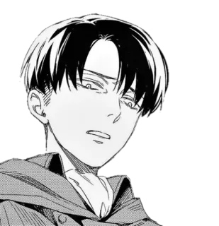 🤢 Levi Ackerman Attack on Titan anime, manga, levi, ackerman, attack on titan, aot telegram sticker
