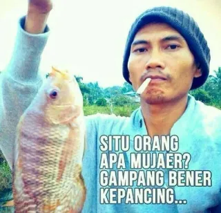 🌟 SITU ORANG APA MUJAER? GAMPANG BENER KEPANCING... telegram sticker