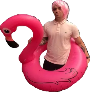 💄 homem, rosa, flamingo, inflável, boia, piscina, peruca telegram sticker