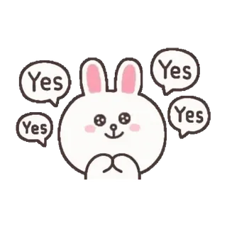 🐻 Yes coniglio, sì, affermativo, carino, coniglietto whatsapp sticker