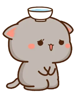 ✨ mèo, bát, dễ thương, động vật, xám telegram sticker