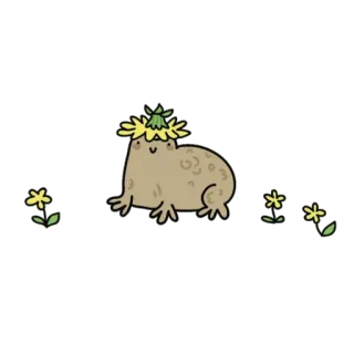 🌼 động vật, chuột lang nước, dễ thương, hoa, thiên nhiên telegram sticker
