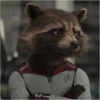 😾 Rocket Raccoon Avengers rocket raccoon, marvel, avengers, waschbär, charakter, superheld telegram sticker