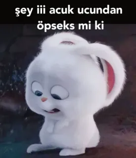 🙈 şey iii acuk ucundan öpseks mi ki 토끼, 만화, 귀여운, 스노우볼, 마이펫의 이중생활, 영화 whatsapp sticker