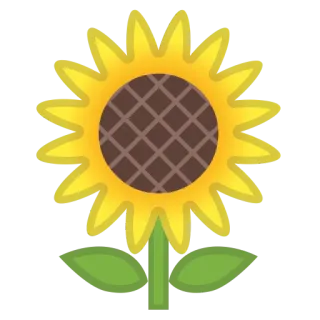 🌹 Sonnenblume, Blume, Gelb, Pflanze, Natur, Garten, Sommer, Frühling whatsapp sticker