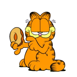 🍩 Garfield cat, cartoon, garfield, donut, orange whatsapp sticker