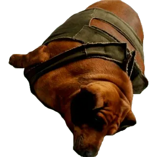 😢 cane, marrone, animale, carino, animale domestico telegram sticker