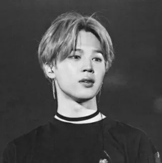 ⌚️ Jimin Kpop, Jimin, BTS, Idol, Penyanyi, Hitam putih telegram sticker