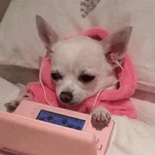 🐾 Hund, Chihuahua, Gamer, Gaming, Süß, Tier, Haustier telegram sticker