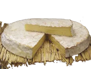 🧀 kaas, brie, zuivel, eten telegram sticker