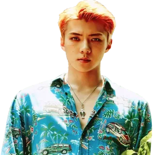😡 person, man, hawaiian shirt, portrait, male, fashion, kpop, idol whatsapp sticker