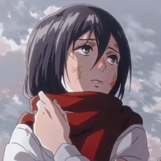 😐 Mikasa Ackerman Attack on Titan Anime, Attack on Titan, Mikasa Ackerman, Charakter, Animation whatsapp sticker