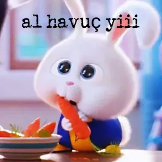 🤷‍♀ al havuç yiiii 토끼, 당근, 토끼, 귀여운, 동물, 웃긴 whatsapp sticker