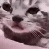 😭