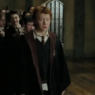 🦁 Ron Weasley Harry Potter ハリーポッター, ロン・ウィーズリー, 魔法使い, グリフィンドール telegram sticker
