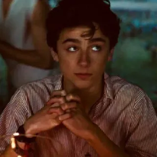 🦇 Timothée Chalamet Timothée Chalamet, actor, retrato telegram sticker