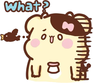 😰 what? cartoon, cute, animal, question, confused, bird, bear telegram sticker
