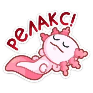 😴 РЕЛАКС! axolotl, détente, chill, mignon, animal, rose, sommeil whatsapp sticker
